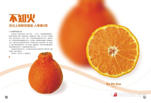 果业公司画册设计印刷定制 从果园到财富的视觉营销秘笈